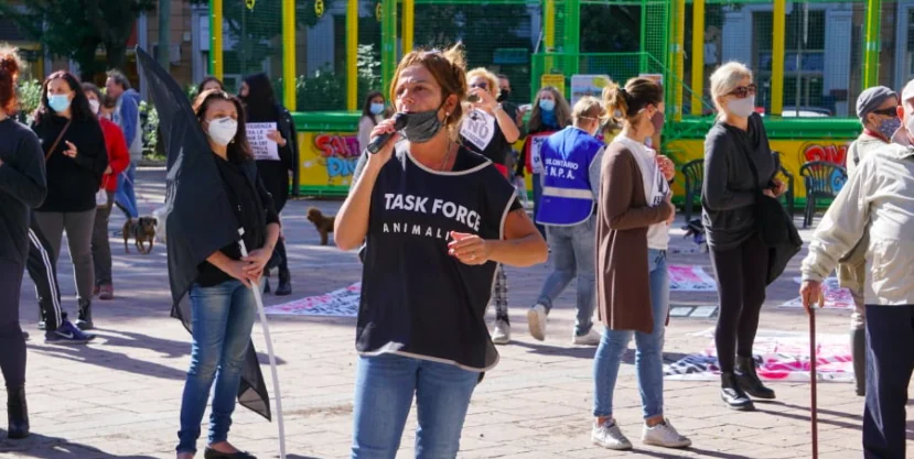 Diritti degli animali, è ora di cambiare